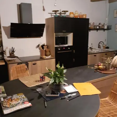Maison Authentique En Pierre Apparente En Montagne Dans Le C Antal Βίλα Thiézac